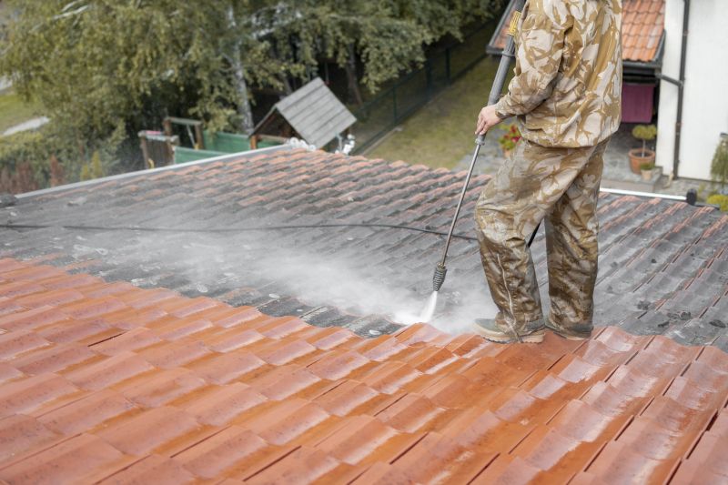 Roof Washing