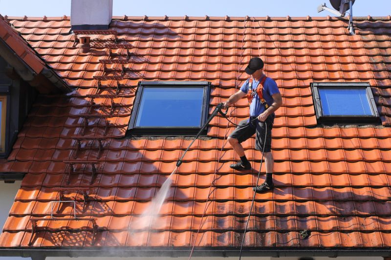 Roof Washing