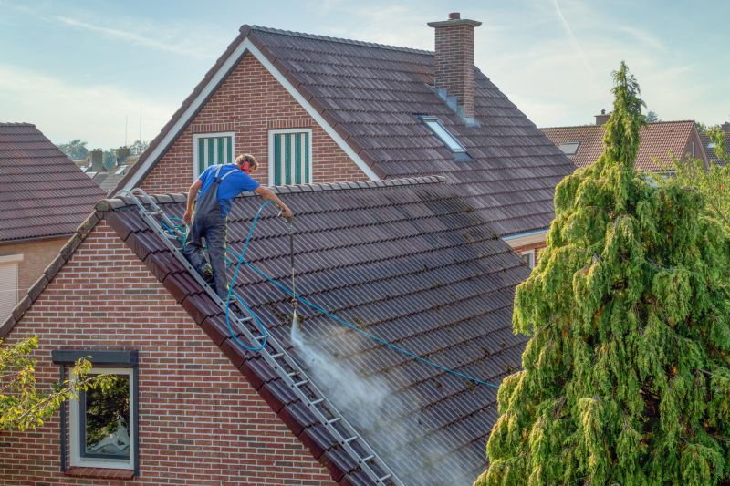 Roof Washing